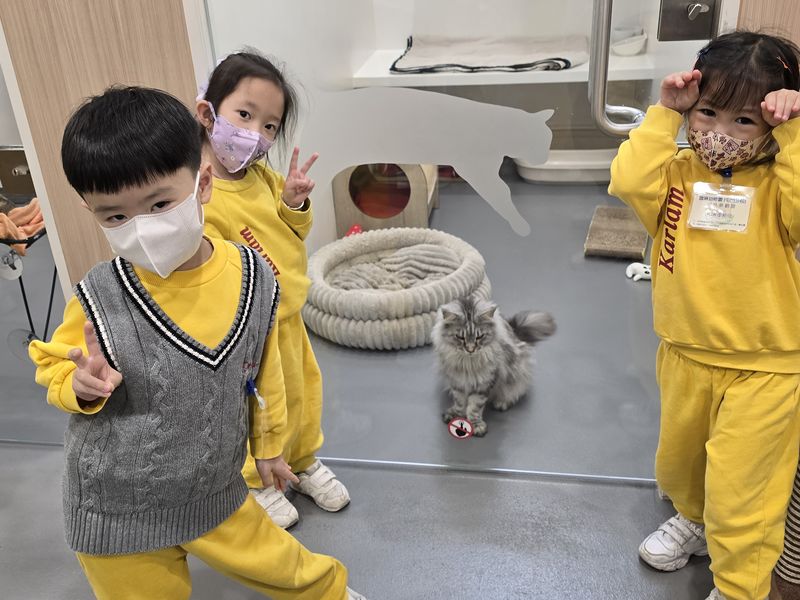 24-25年度K2參加香港愛護動物協會「沉浸式護動學堂」